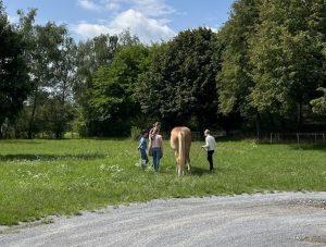 Kinder und Pferd