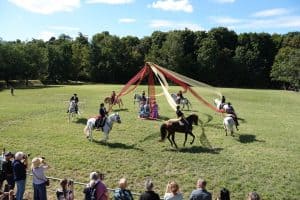 Barockpferde-Event 2025 Karussell der Allgäu-Andalusier
