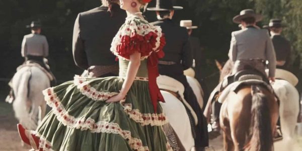 Barockpferde Event Reiter mit Flamenca