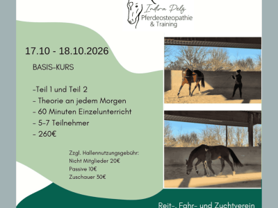 Lehrgang Tensegrales Training