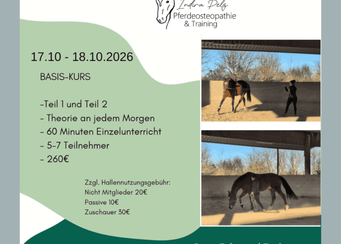 Lehrgang Tensegrales Training