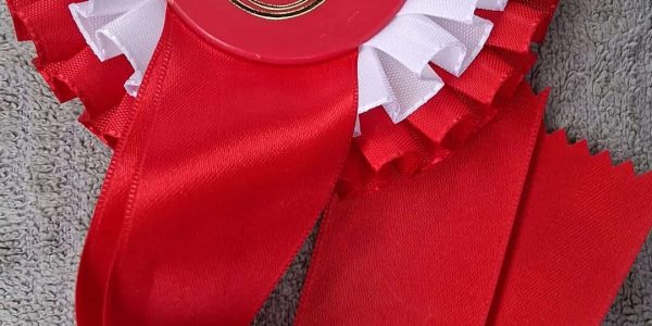 Schleife 5. Platz